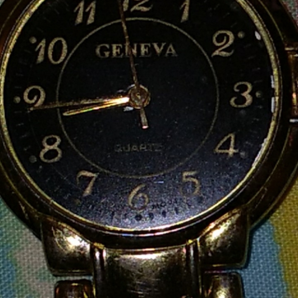 Geneva Watch